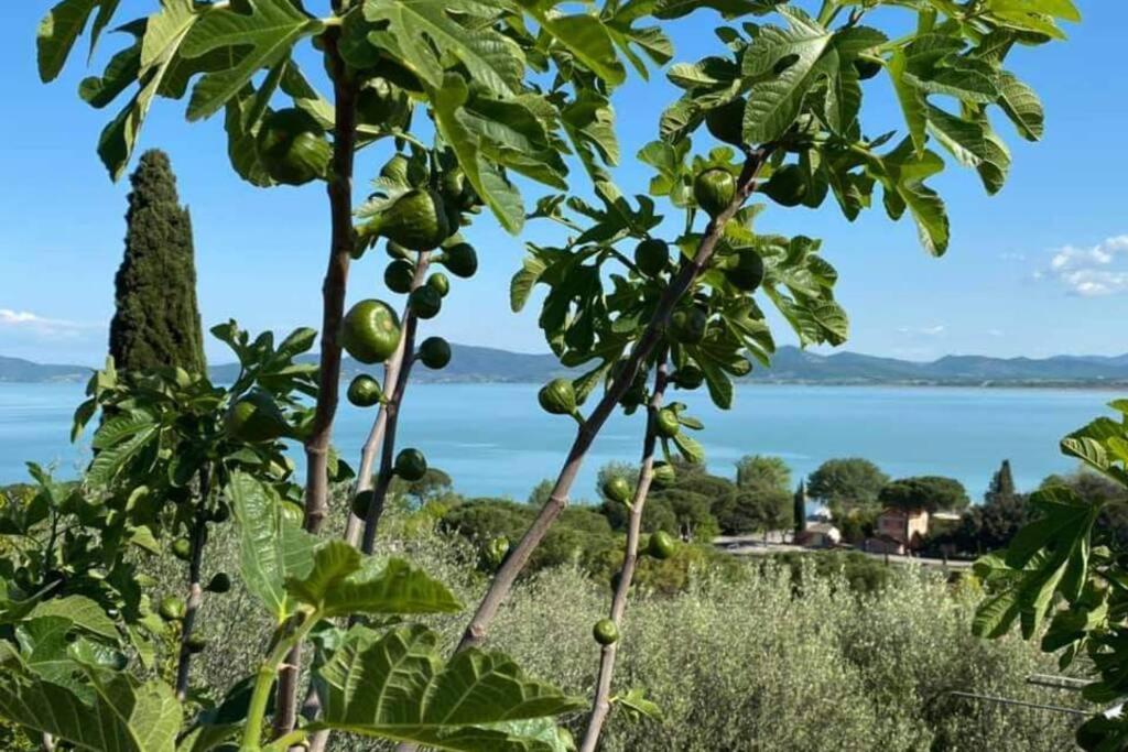 Bellavista La Tua Romantica Vacanza Sul Trasimeno Кастильоне-дель-Лаго Экстерьер фото