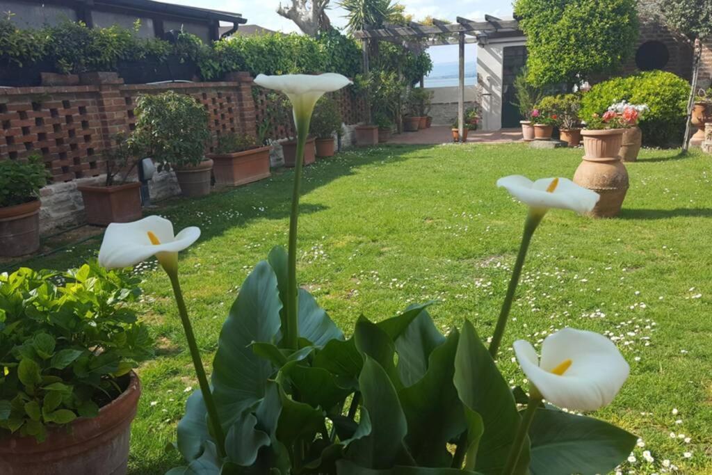 Bellavista La Tua Romantica Vacanza Sul Trasimeno Кастильоне-дель-Лаго Экстерьер фото